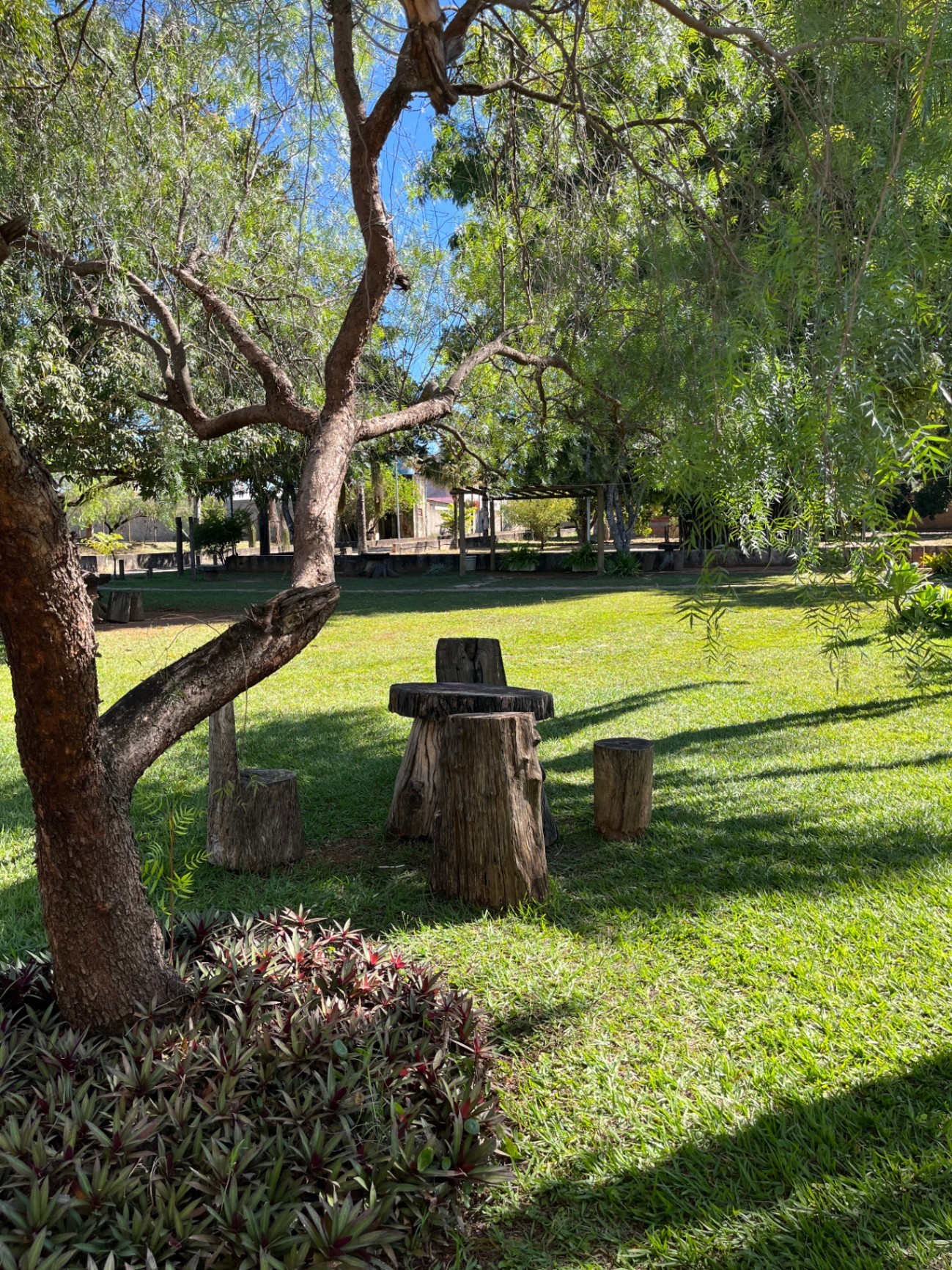 Área Verde & Espaço Zen